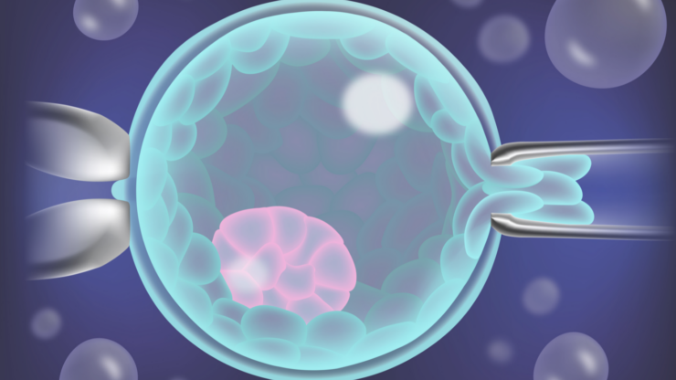 Подходит ли Вам ПГТ и биопсия эмбриона?