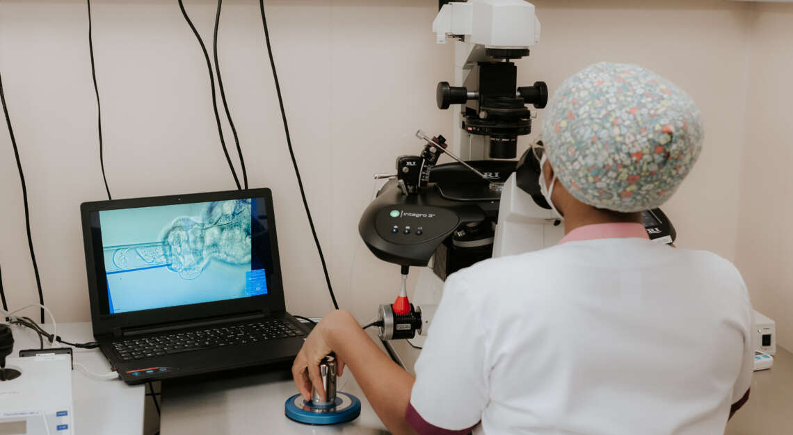 Annual Review of PGT-A Performance