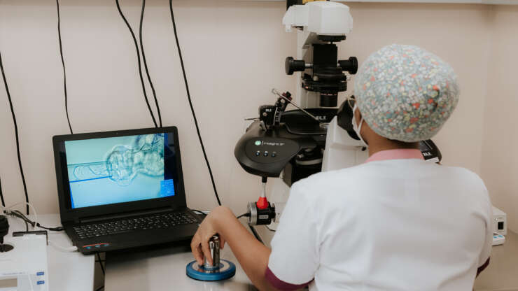 Annual Review of PGT-A Performance