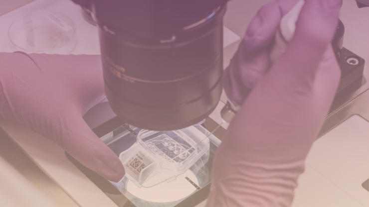 The clinical relevance of PGTA