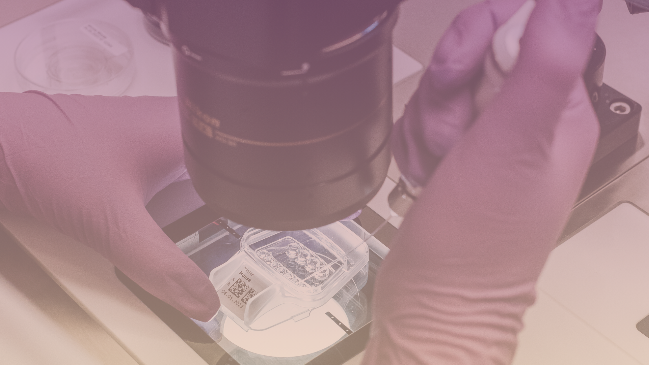 The clinical relevance of PGTA